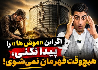 اگه این موش ها رو پیدا نکنی هیچوقت قهرمان نمیشی!