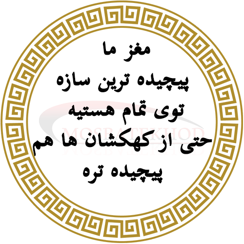 مغز یک ورزشکار مغز یک ورزشکار